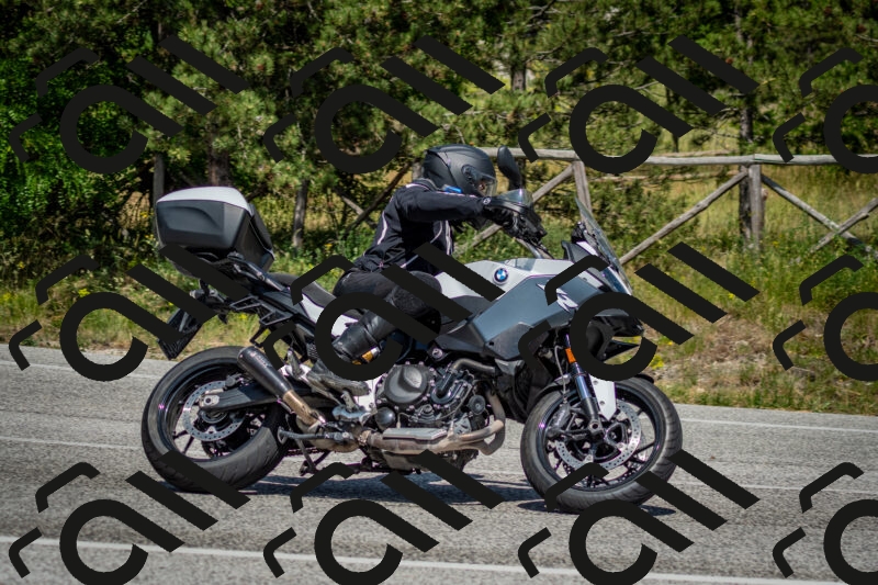 202506141503-DSC_8895_c2