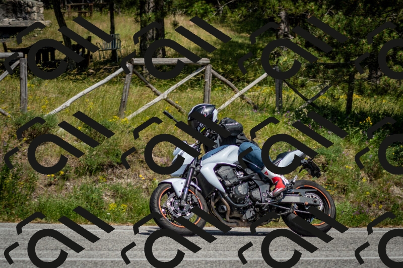 202506141506-DSC_8902_c2