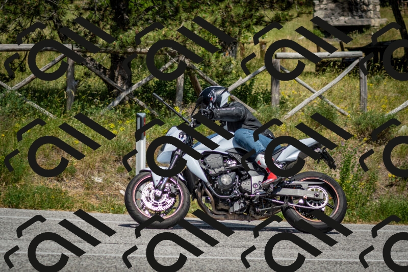 202506141506-DSC_8903_c2