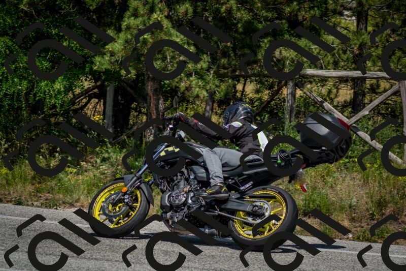 202506141506-DSC_8905_c2