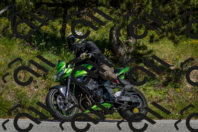 202506141507-DSC_8907_c2