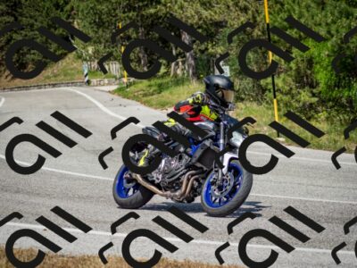 202506141510-DSC_8913_c2