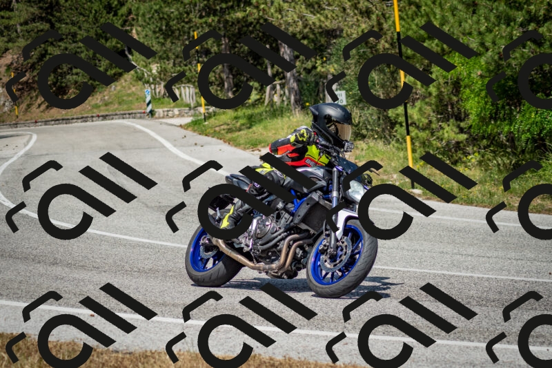 202506141510-DSC_8913_c2