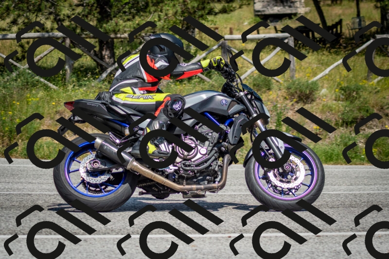 202506141510-DSC_8915_c2