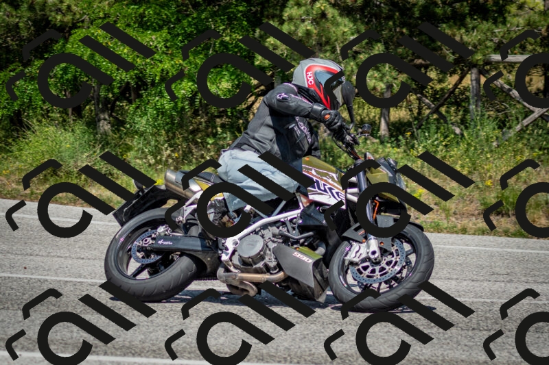 202506141511-DSC_8926_c2