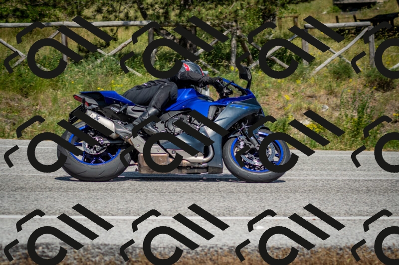 202506141521-DSC_8941_c2