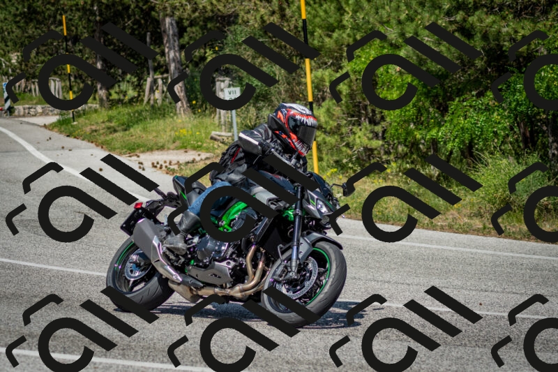 202506141522-DSC_8950_c2