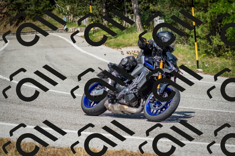 202506141522-DSC_8952_c2