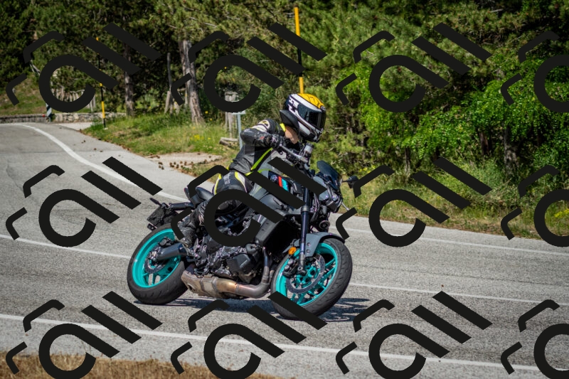 202506141522-DSC_8957_c2