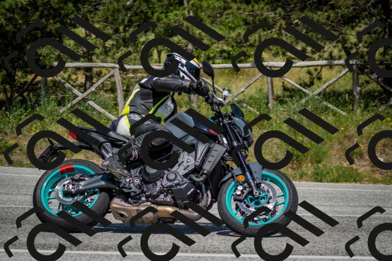 202506141522-DSC_8958_c2