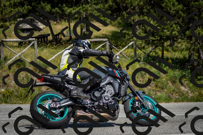 202506141522-DSC_8959_c2