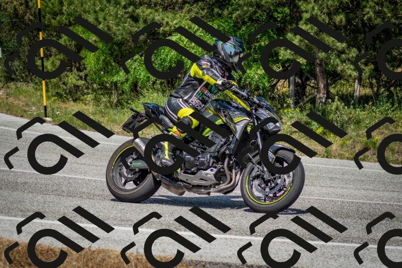 202506141523-DSC_8961_c2