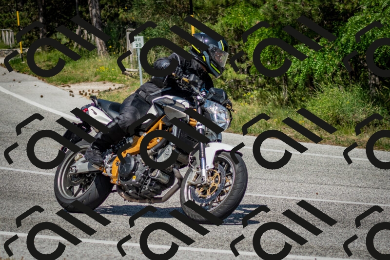 202506141523-DSC_8962_c2