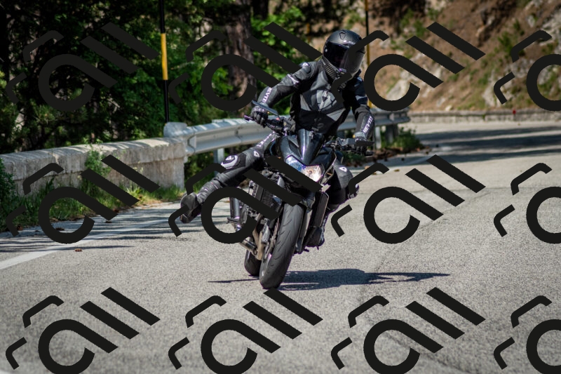 202506141523-DSC_8964_c2