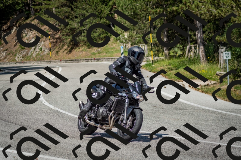 202506141523-DSC_8965_c2