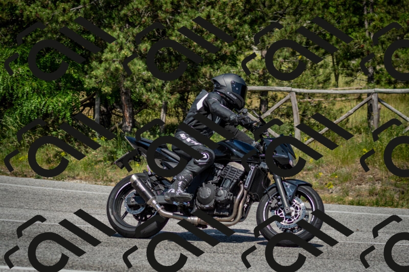 202506141523-DSC_8966_c2