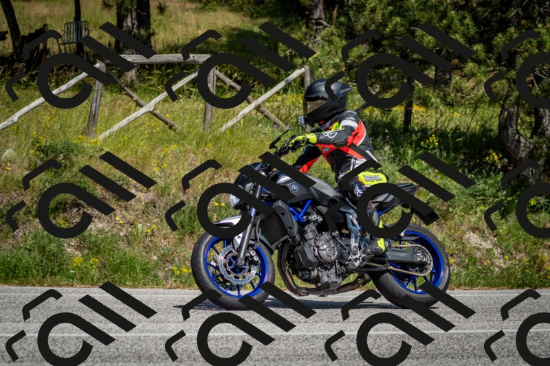 202506141524-DSC_8968_c2