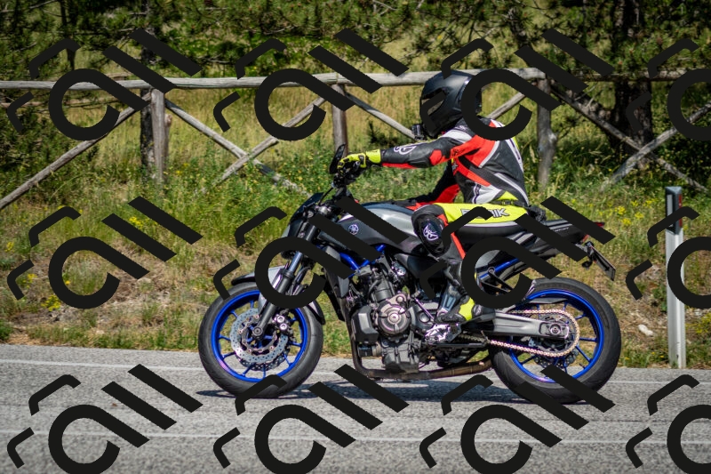 202506141524-DSC_8969_c2