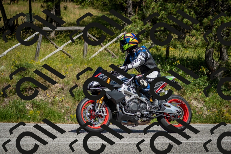 202506141524-DSC_8970_c2