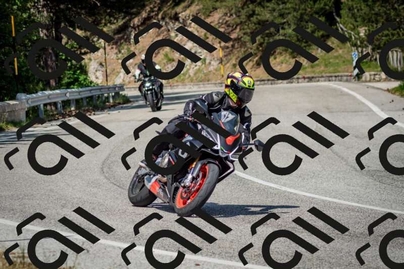 202506141525-DSC_8973_c2