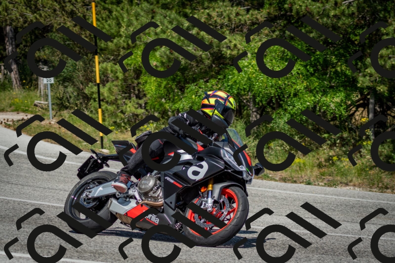 202506141525-DSC_8974_c2