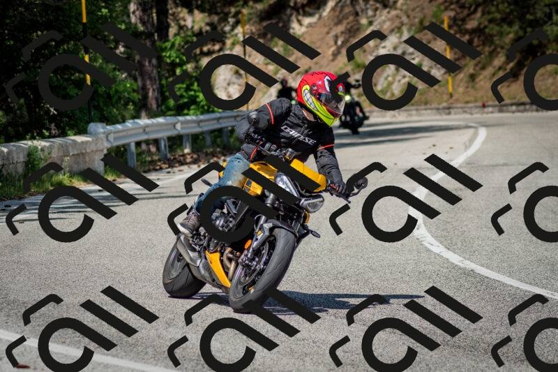 202506141525-DSC_8979_c2