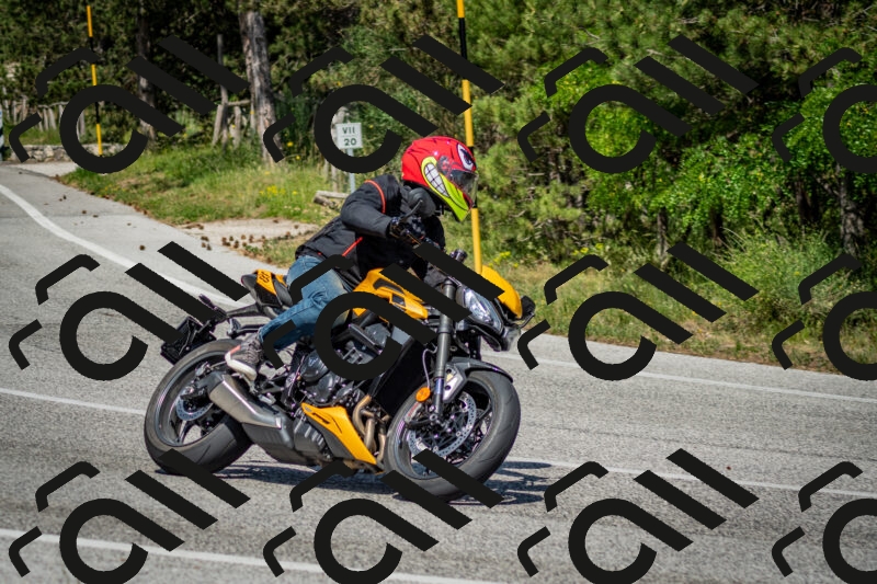 202506141525-DSC_8980_c2