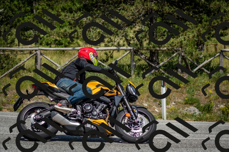 202506141525-DSC_8981_c2