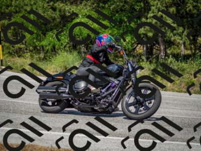 202506141525-DSC_8983_c2