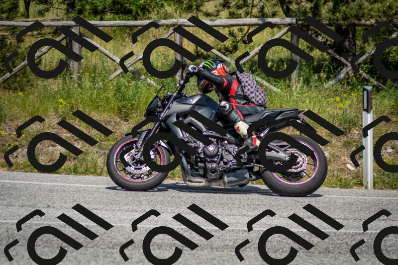 202506141527-DSC_8991_c2