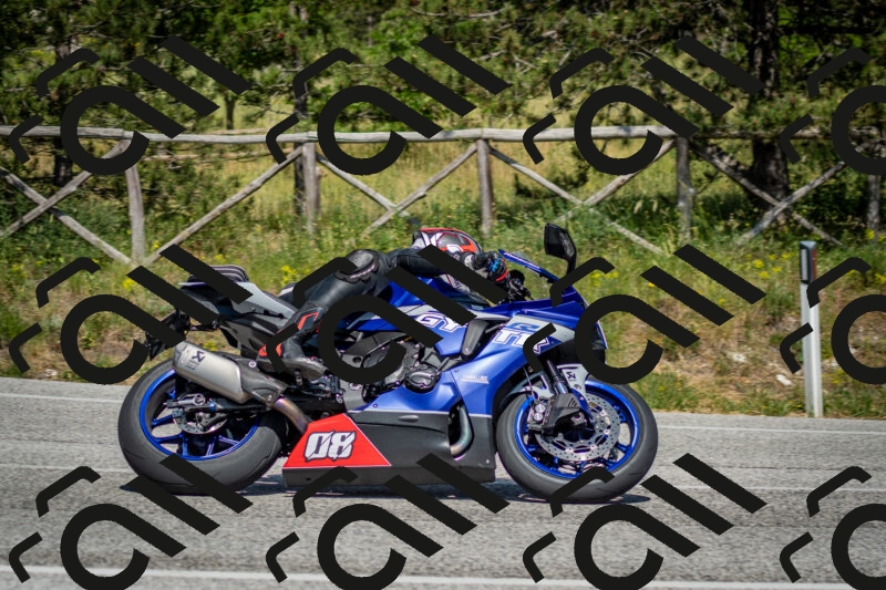 202506141527-DSC_8995_c2