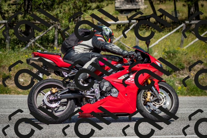 202506141527-DSC_8999_c2