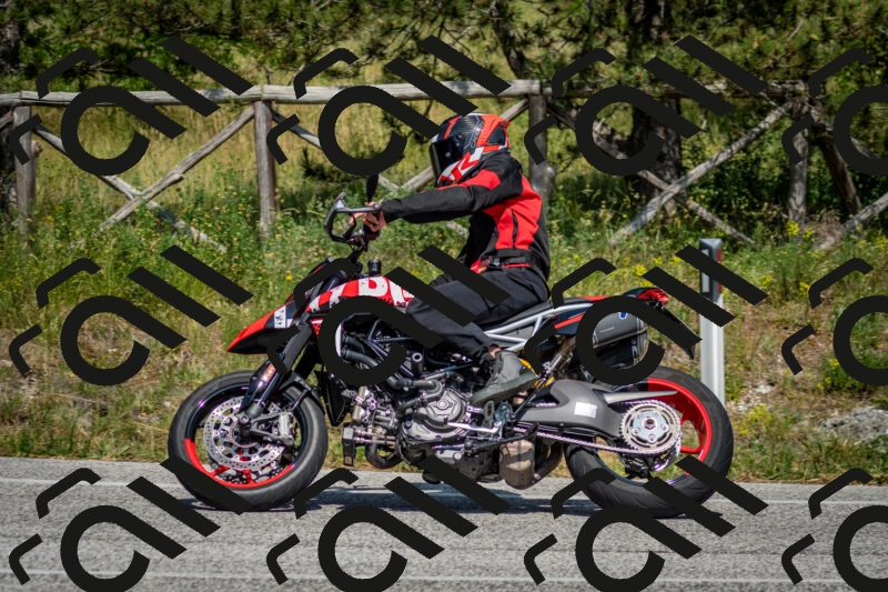 202506141528-DSC_9001_c2