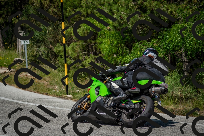 202506141528-DSC_9008_c2