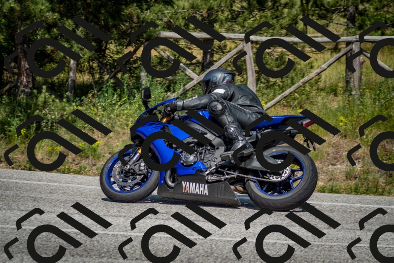 202506141530-DSC_9016_c2