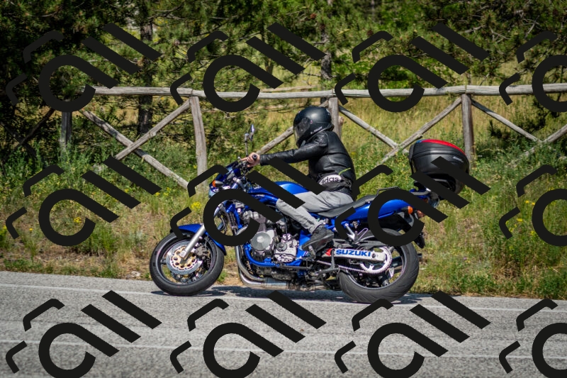 202506141531-DSC_9019_c2