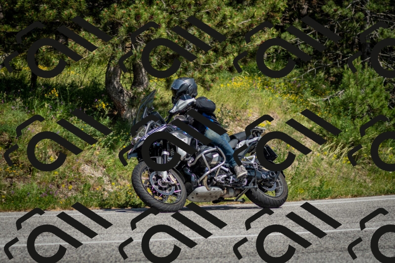 202506141531-DSC_9023_c2