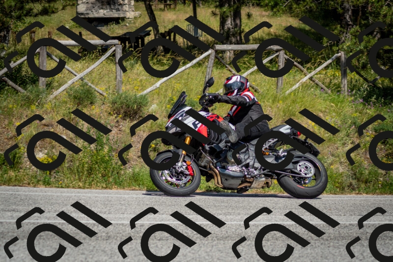 202506141531-DSC_9025_c2