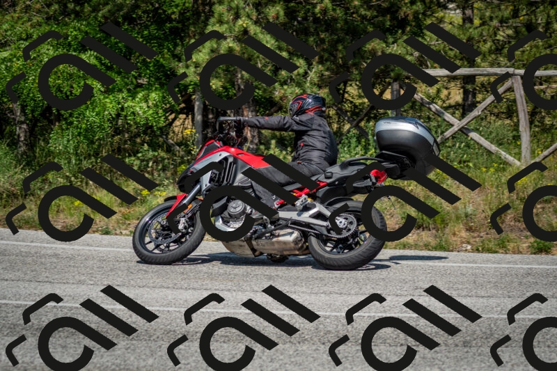 202506141531-DSC_9029_c2