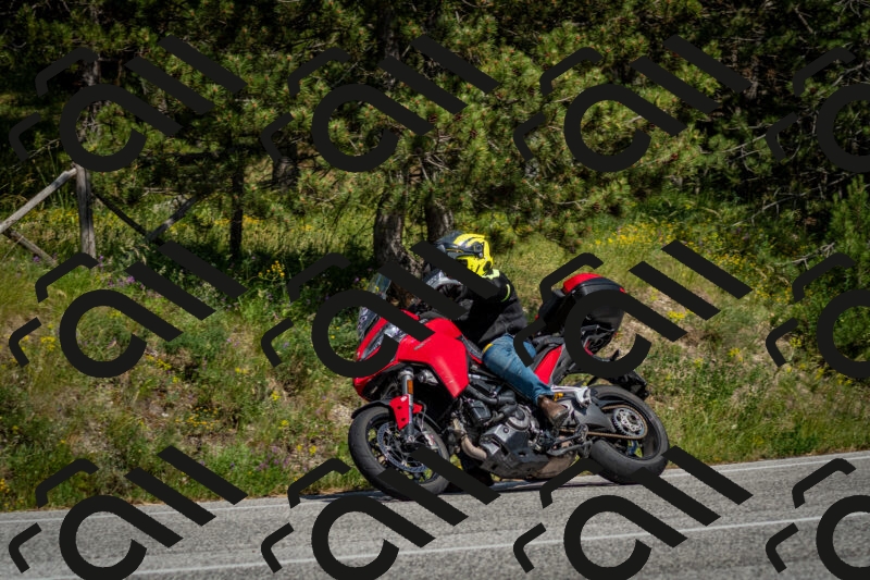 202506141531-DSC_9032_c2