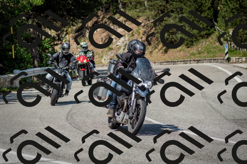 202506141532-DSC_9036_c2