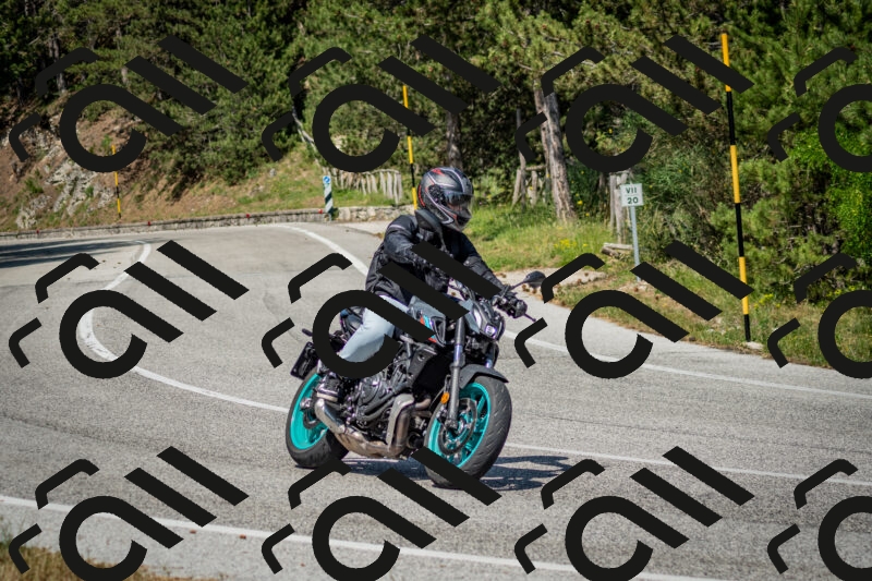 202506141532-DSC_9038_c2