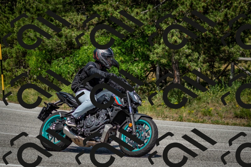 202506141532-DSC_9039_c2