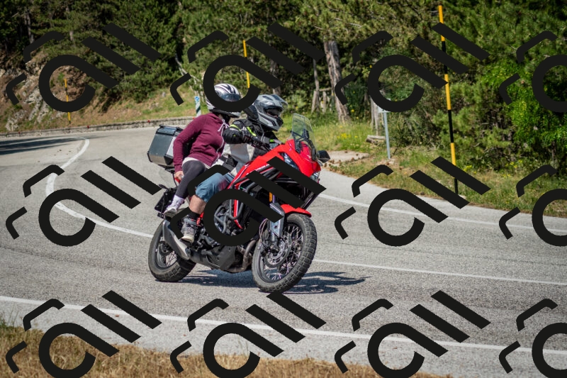 202506141532-DSC_9040_c2