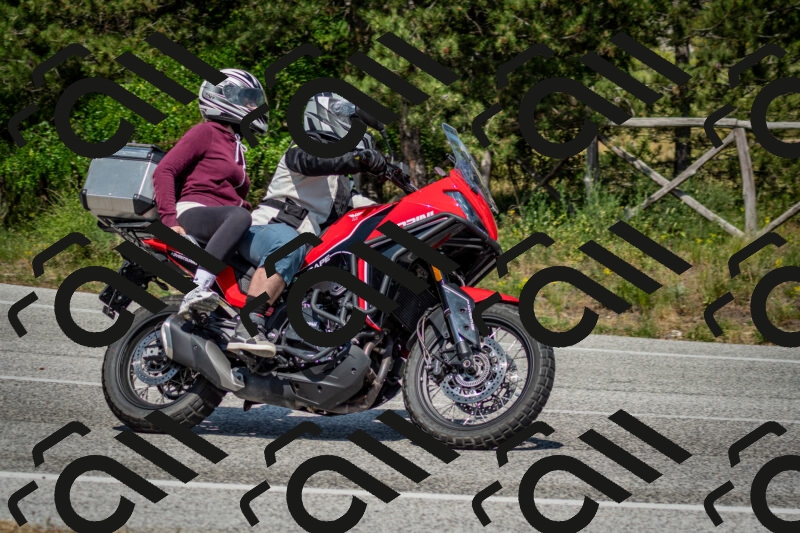 202506141532-DSC_9041_c2