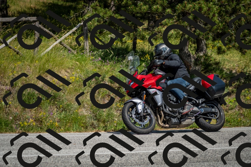 202506141532-DSC_9051_c2