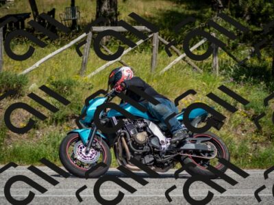 202506141533-DSC_9062_c2