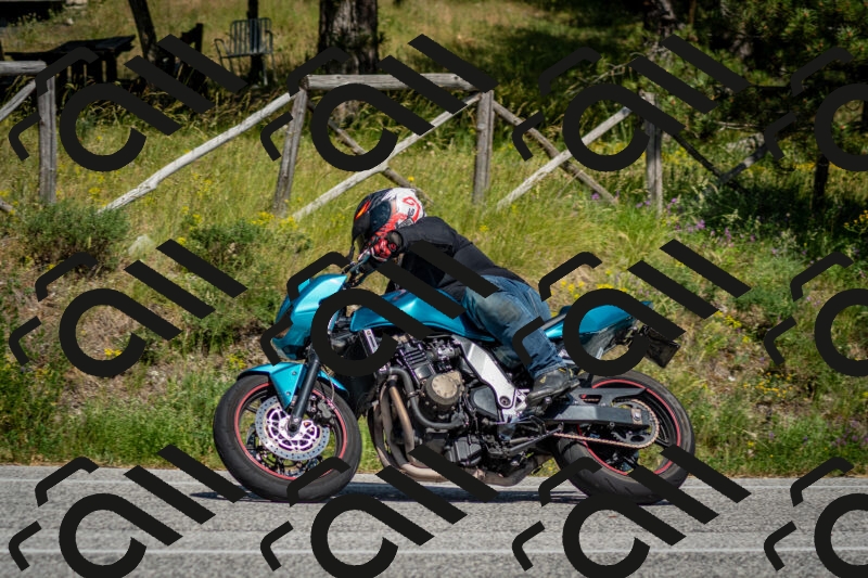 202506141533-DSC_9062_c2