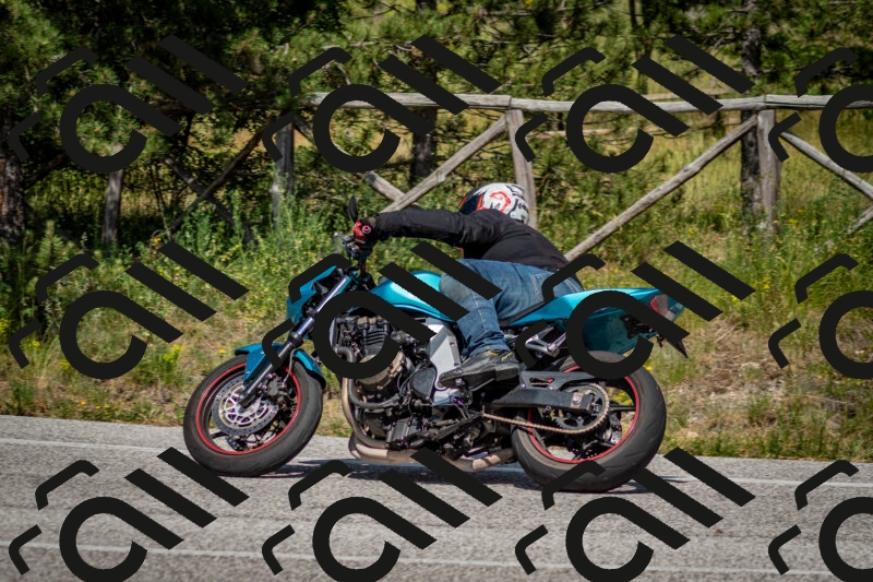 202506141533-DSC_9063_c2