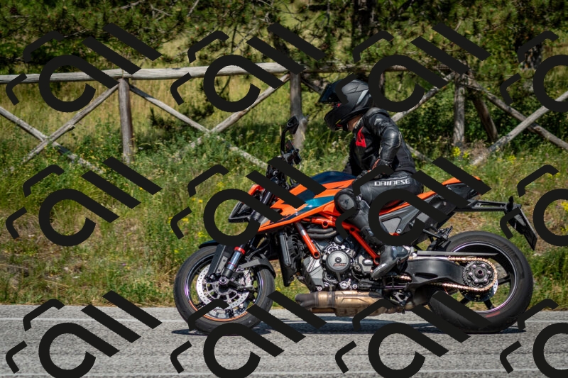 202506141534-DSC_9065_c2